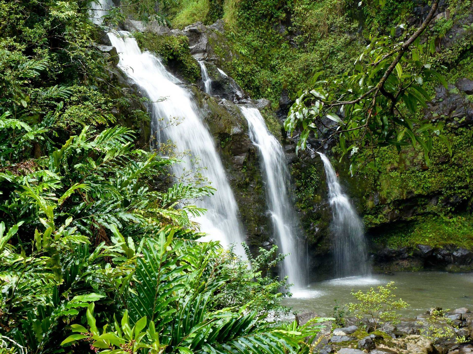 Travel to Kauai waterfall